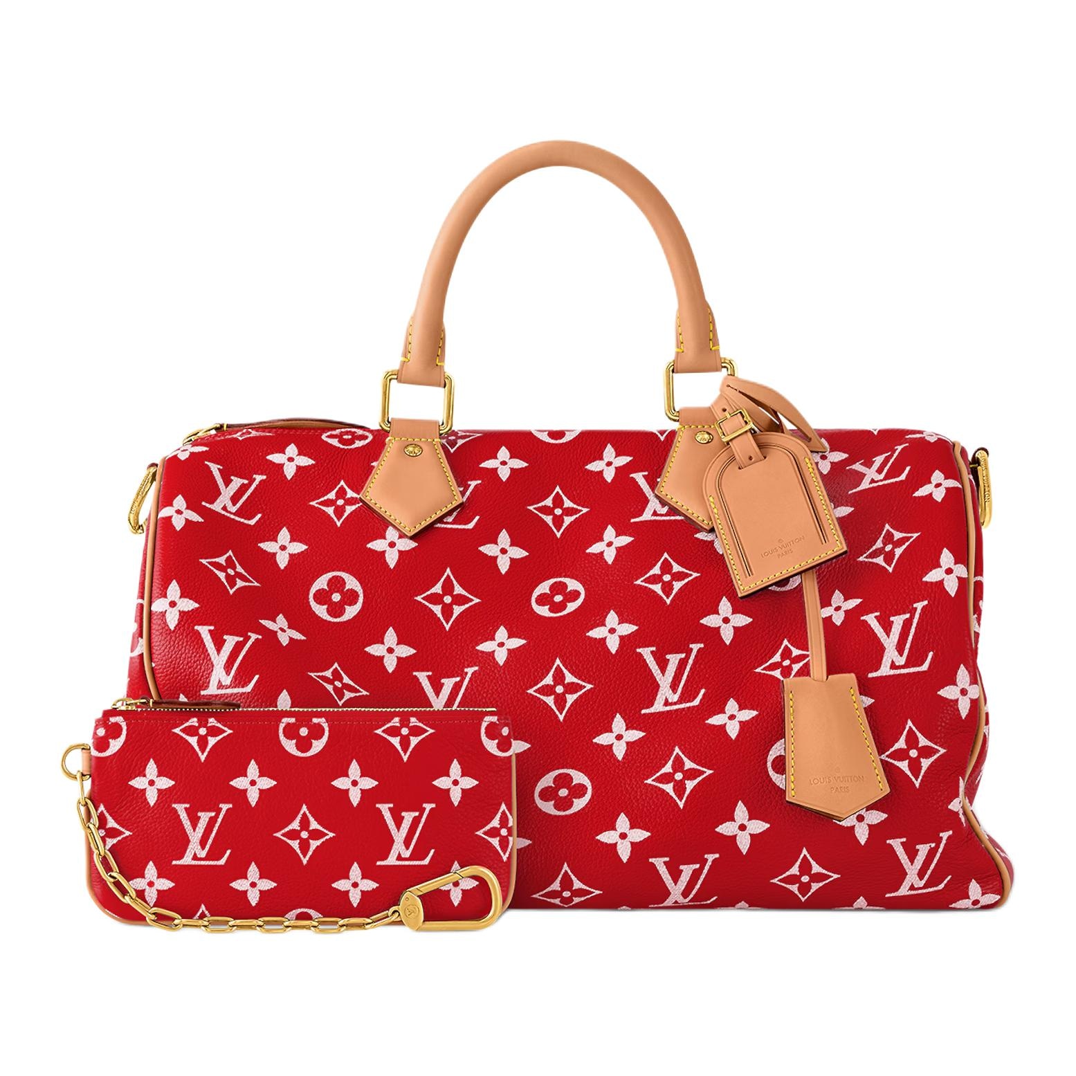 Louis Vuitton Speedy 40 — фото 1