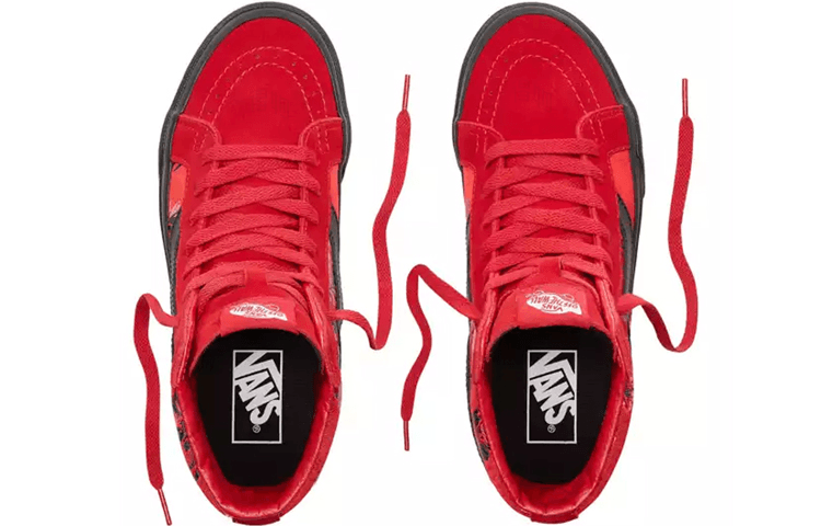 Vans SK8 Festival Satin Reissue — фото 3