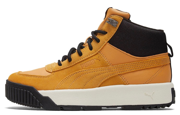 PUMA/彪马 PUMA Tarrenz SB Brown Black