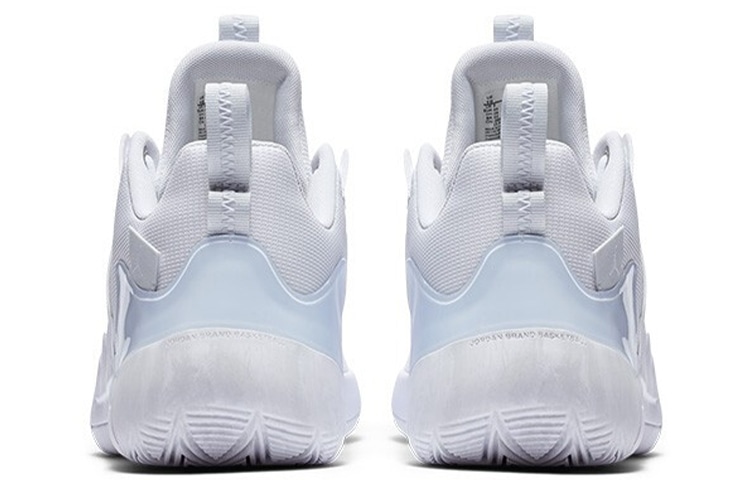 Jordan Zoom Zero Gravity PF — фото 4