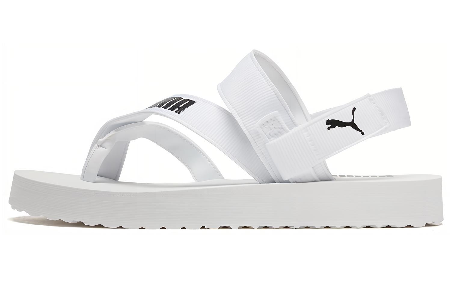 Puma Summercat