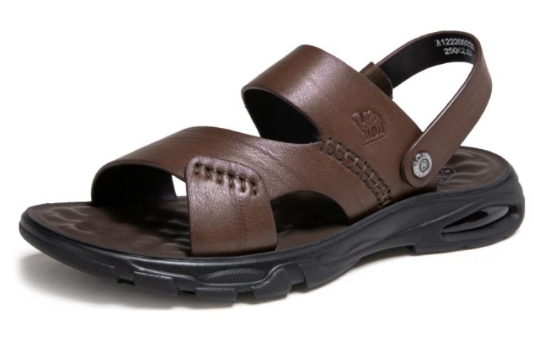 CAMEL骆驼 CAMEL