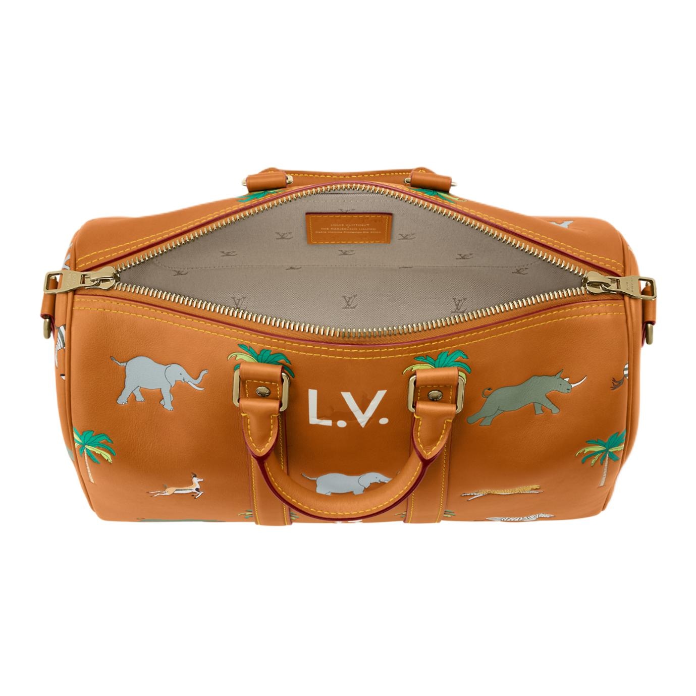 Louis Vuitton x THE DARJELING LIMITED keepall BANDOULIRE 35 — фото 3