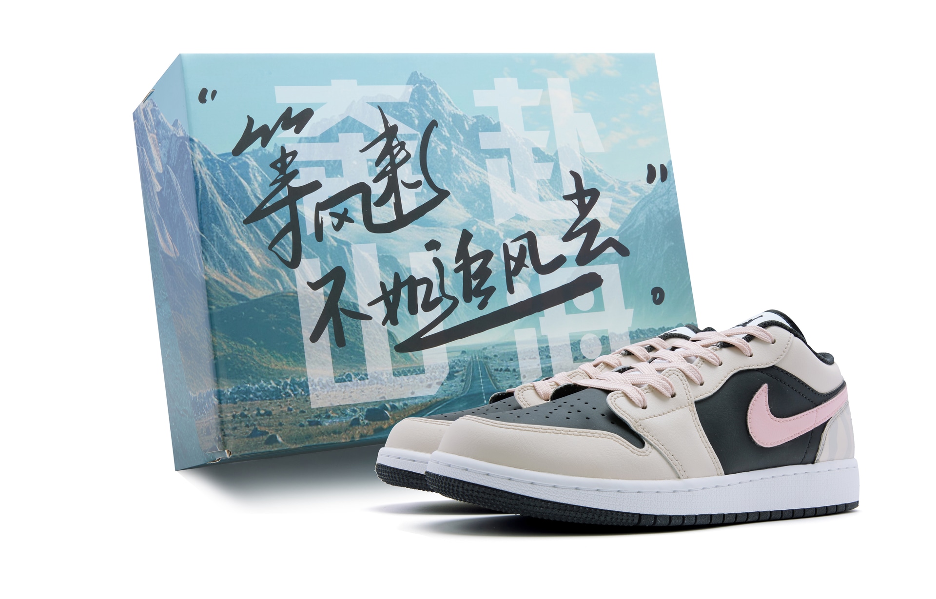 Jordan Air Jordan 1 Low