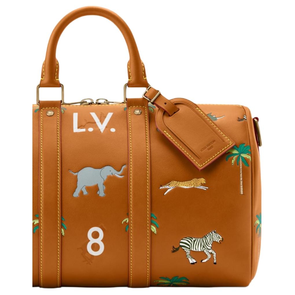 Louis Vuitton x THE DARJELING LIMITED keepall BANDOULIRE 35 — фото 4