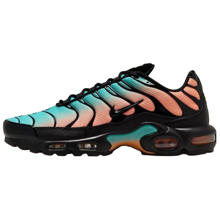Nike Air Max Plus "South Florida"