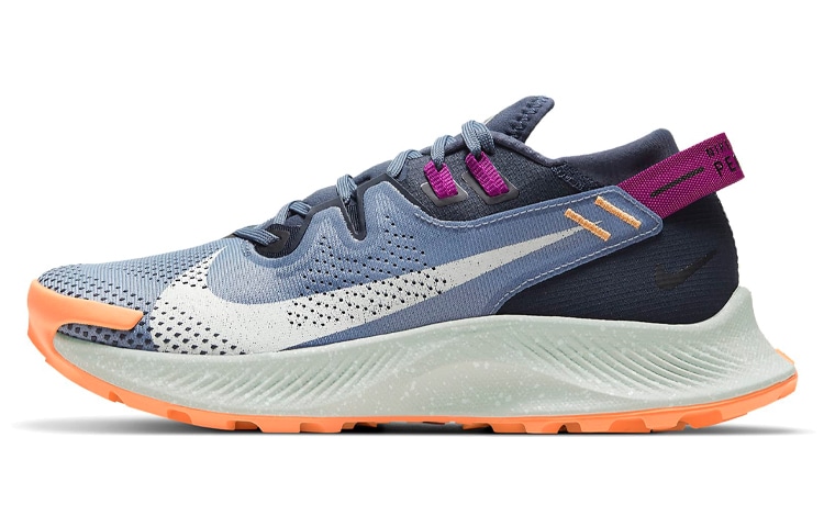 Nike Pegasus Trail 2