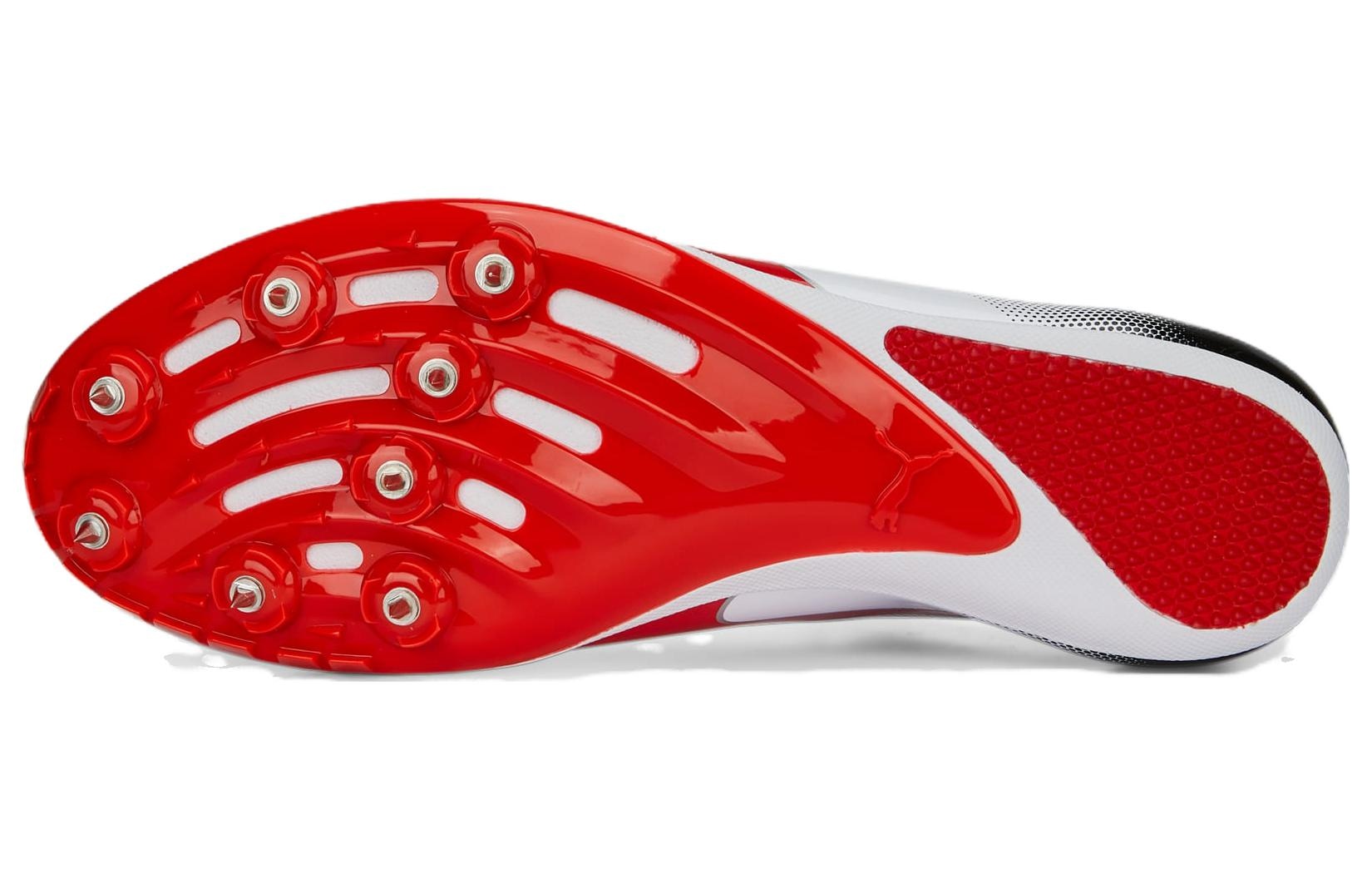 Puma Evospeed Sprint 14 — фото 5