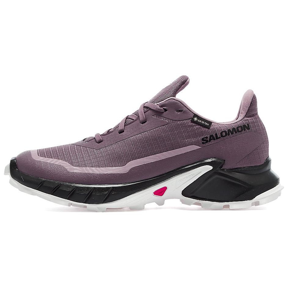 SALOMON/萨洛蒙 Salomon Alphacross 5 GORE-TEX