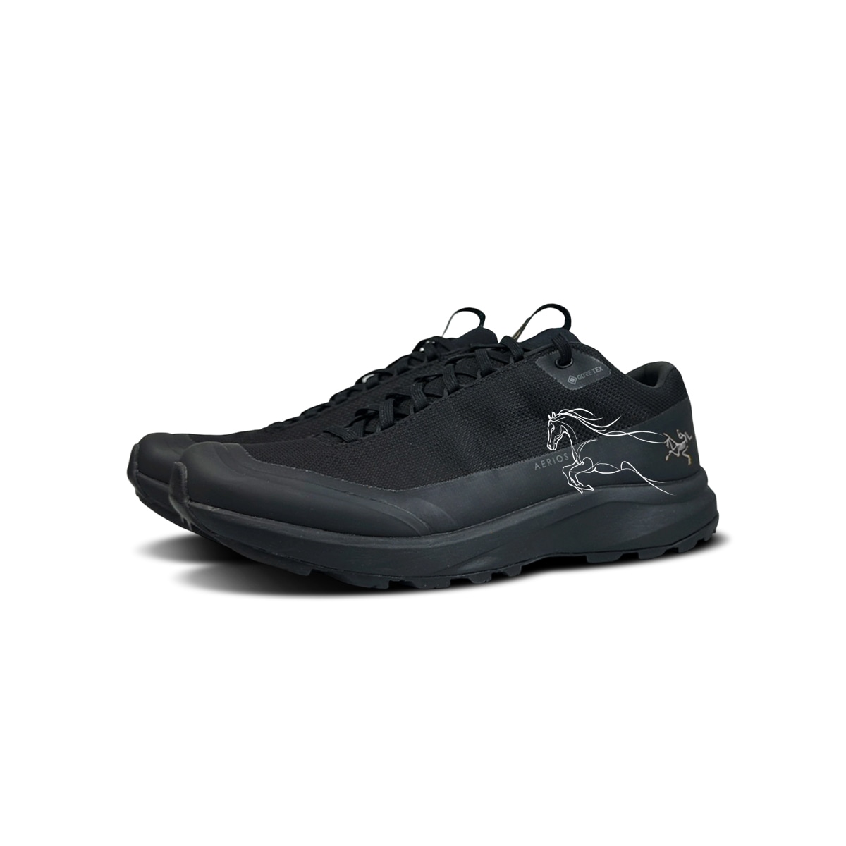 Arcteryx AERIOS FL GTX — фото 2