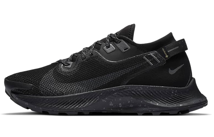 Nike Pegasus Trail 2