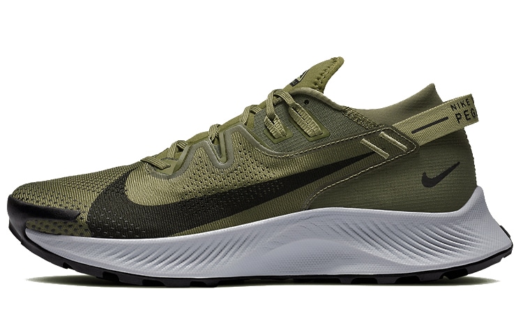 Nike Pegasus Trail 2