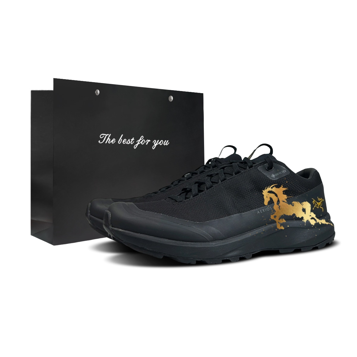 Arcteryx Aerios FL 2