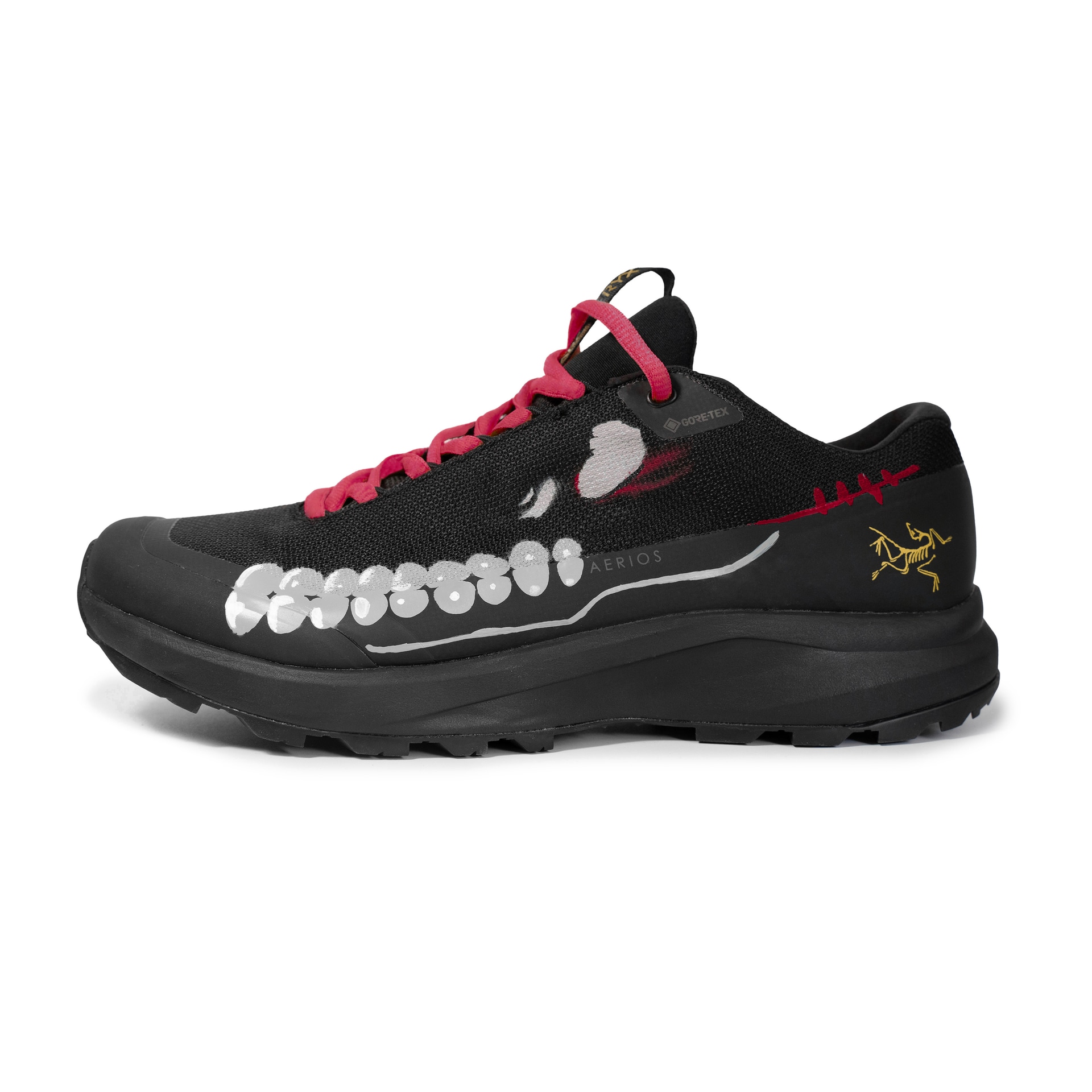 Arcteryx Aerios FL 2