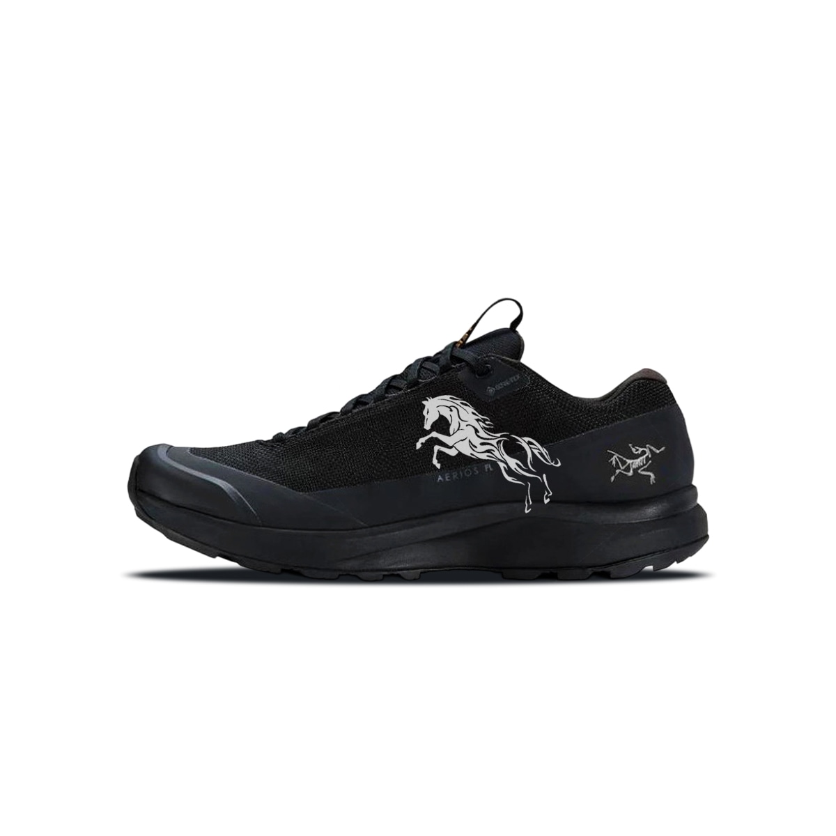 Arcteryx Aerios Fl 2