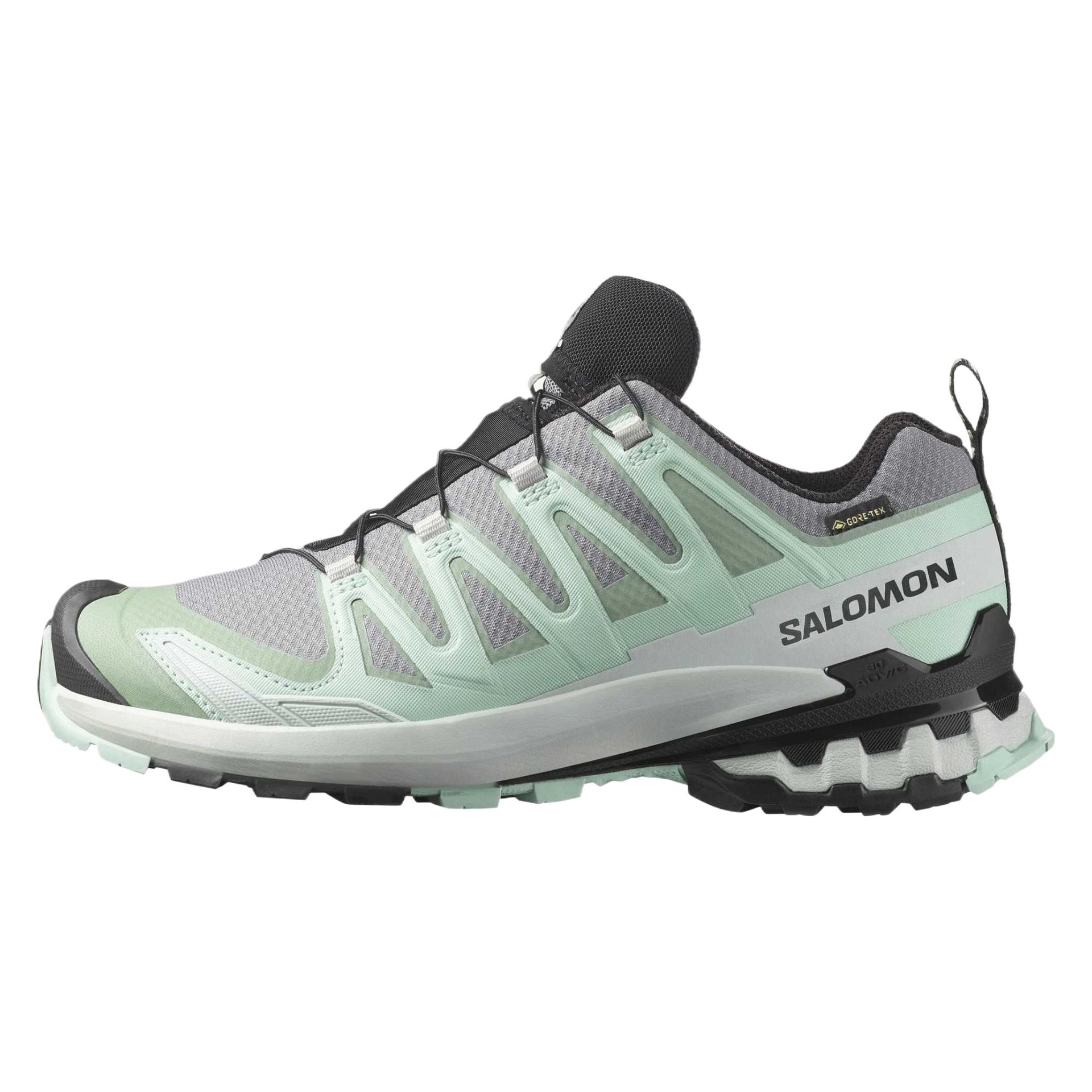 SALOMON/萨洛蒙 Salomon XA Pro 3D V9 GORE-TEX