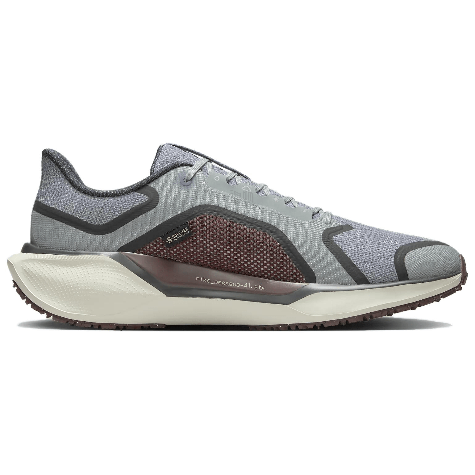 Nike Pegasus 41 GORE-TEX — фото 1