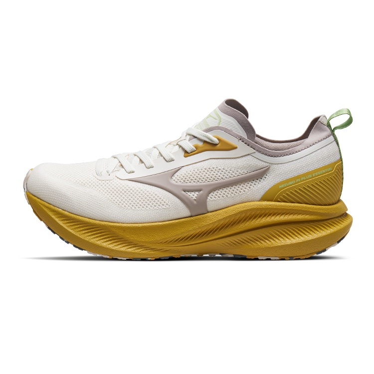 Mizuno