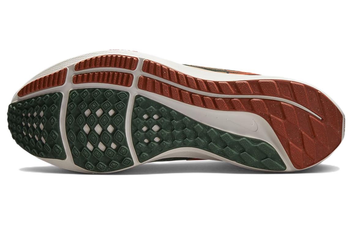 Nike Air Zoom Pegasus 39 "A.I.R. Hola Lou" — фото 5