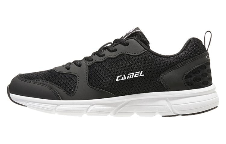 CAMEL骆驼 CAMEL