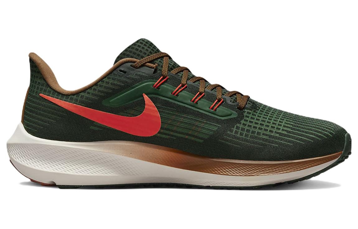 Nike Air Zoom Pegasus 39 "A.I.R. Hola Lou" — фото 1