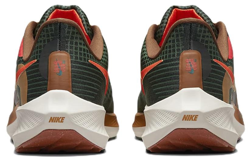 Nike Air Zoom Pegasus 39 "A.I.R. Hola Lou" — фото 4