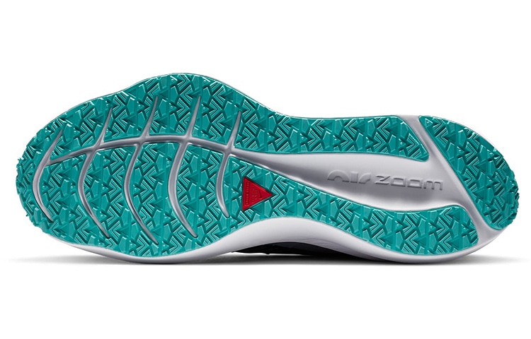Nike Zoom Winflo 7 Shield — фото 5