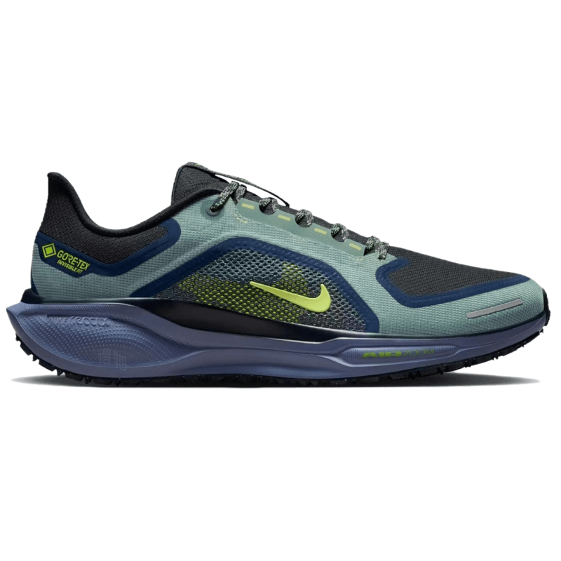 Nike Air Zoom Pegasus 41 Gore-Tex — фото 1