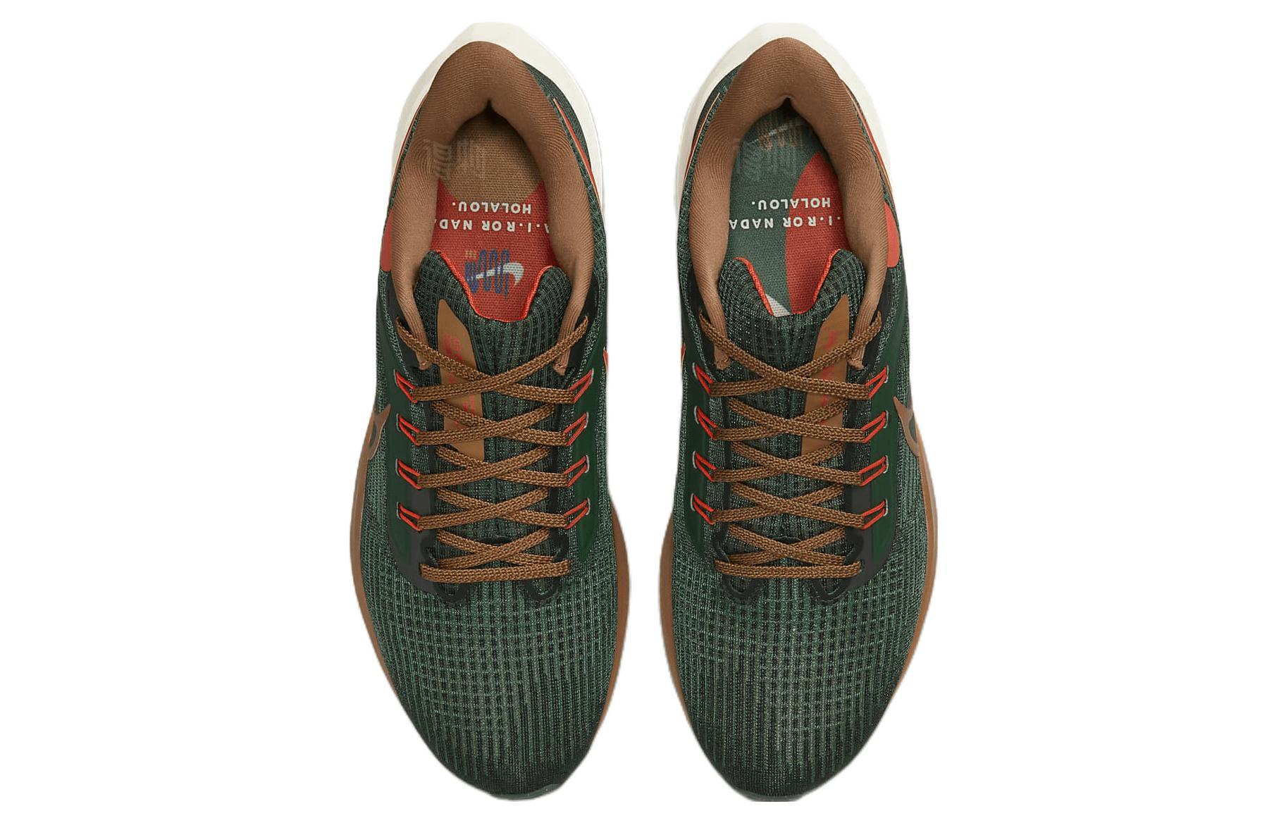 Nike Air Zoom Pegasus 39 "A.I.R. Hola Lou" — фото 3