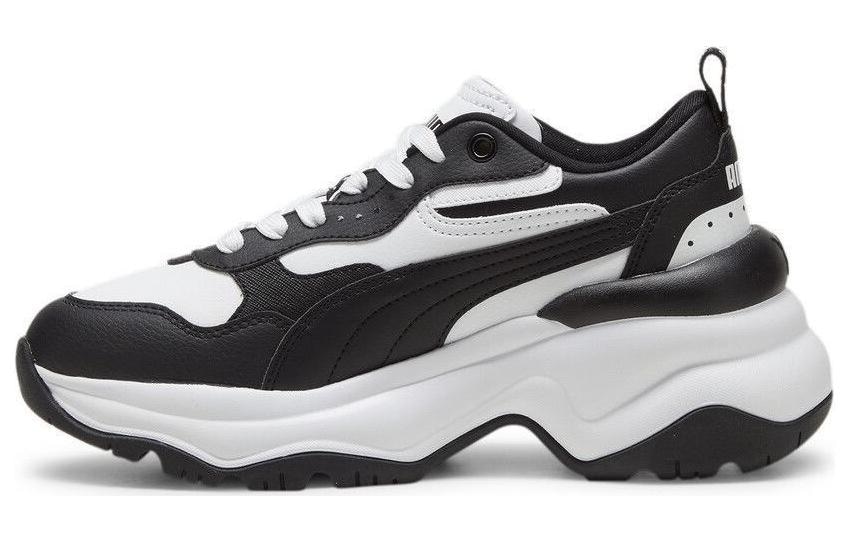 Puma Cilia