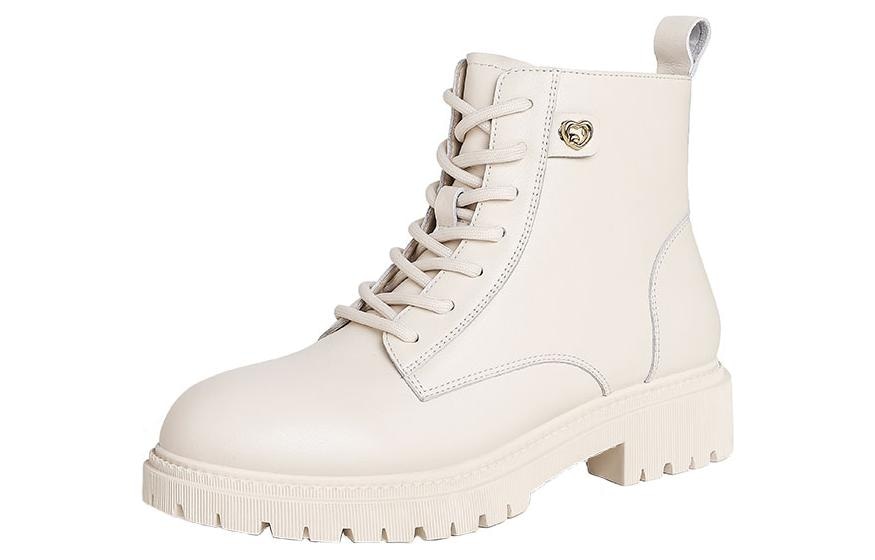 CAMEL骆驼 CAMEL