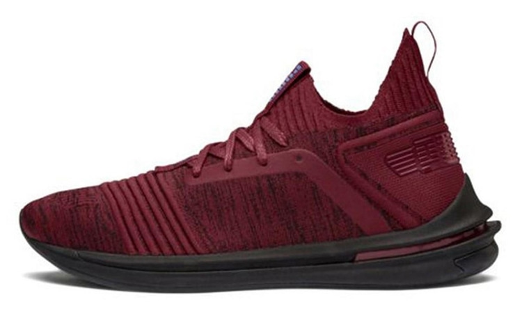 Puma Ignite Limitless Sr Evoknit