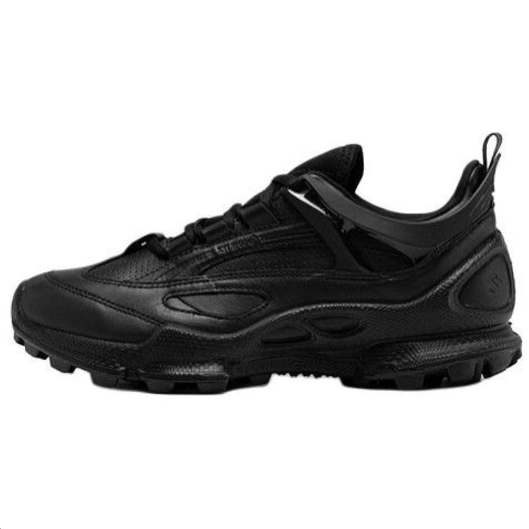 Ecco Biom C Trail