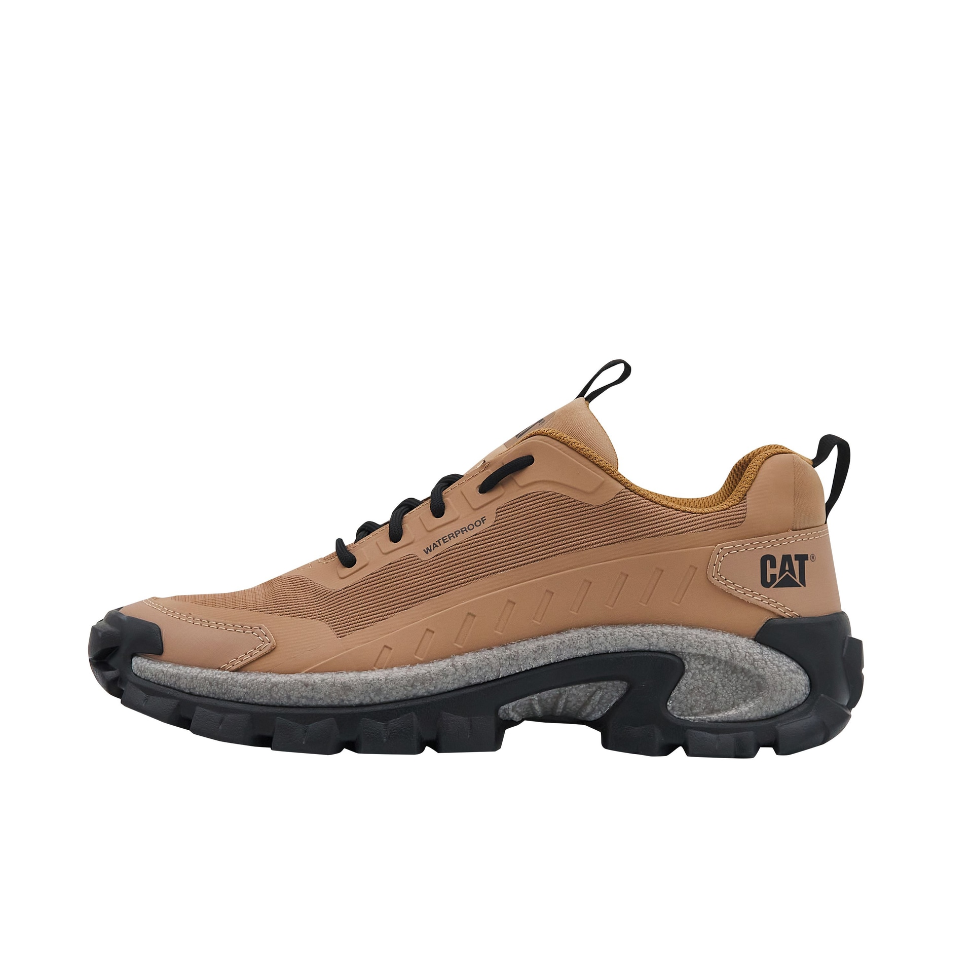 CAT SS24 Brown