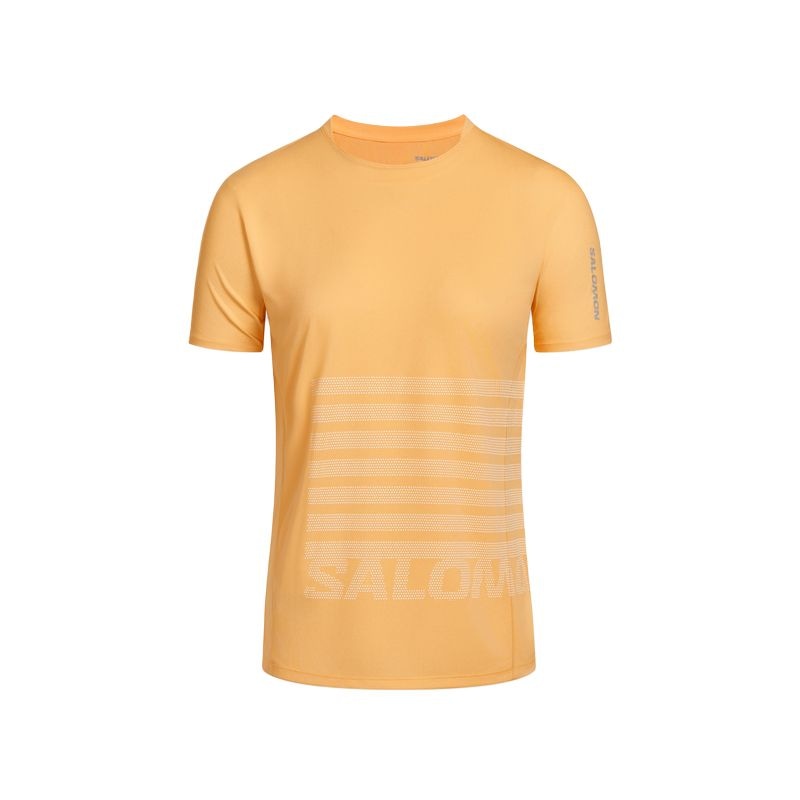 Salomon SENSE AERO SS TEE GFX W T