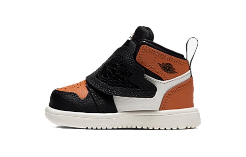 Jordan Air Jordan 1 Sky logo