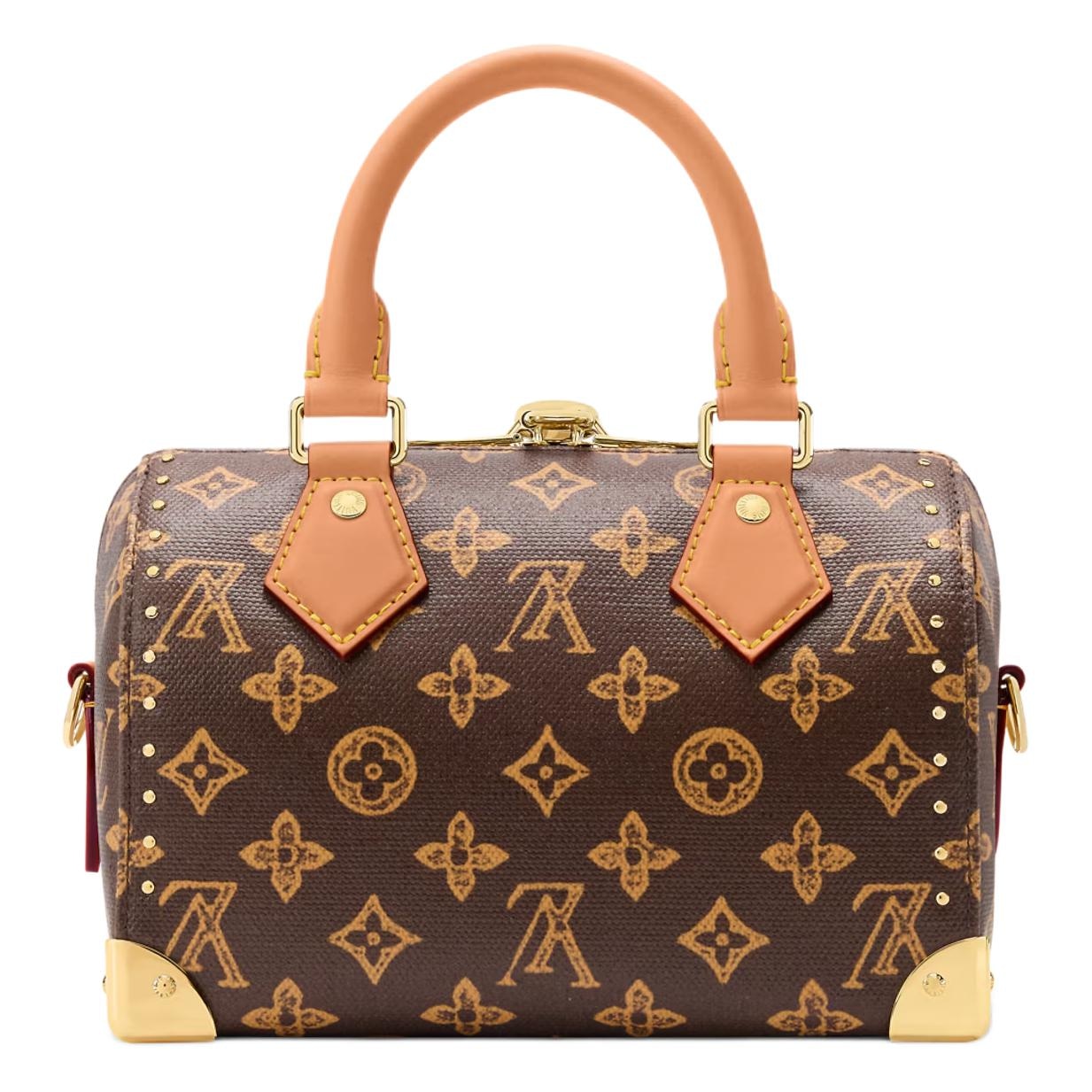 Louis Vuitton Monogram 130Speedy TRUNK 20 20 — фото 2