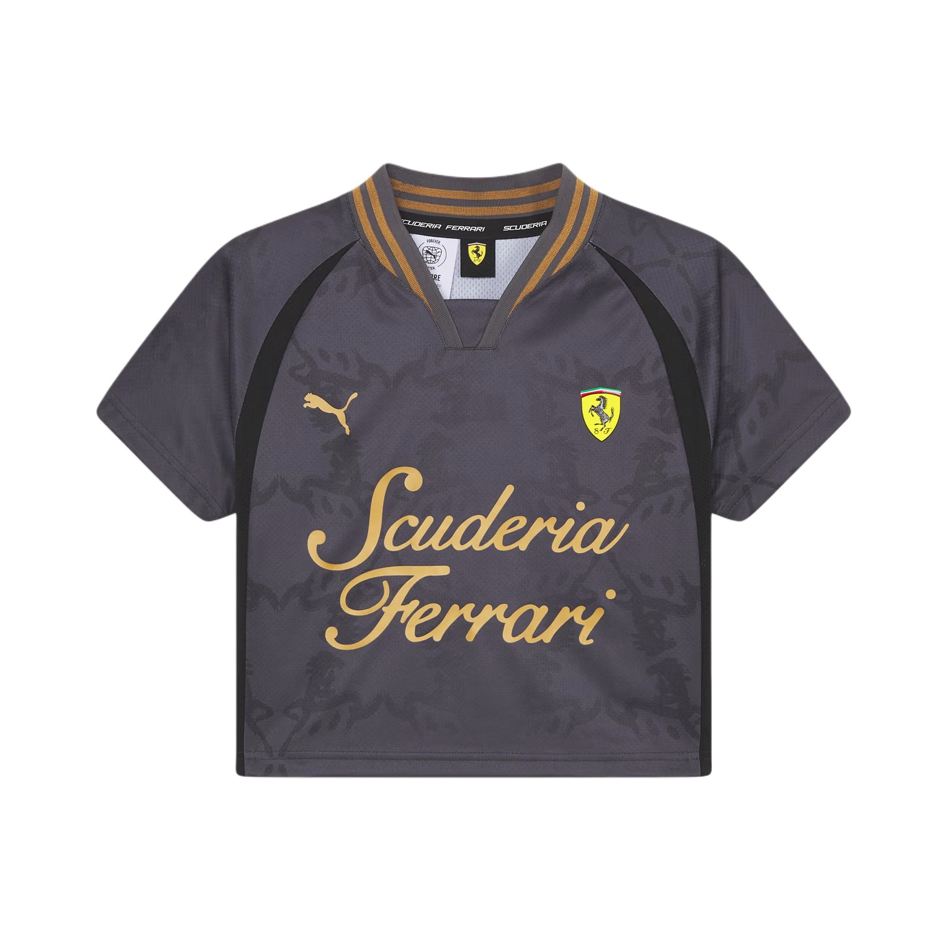 Футболка Puma F1 V T