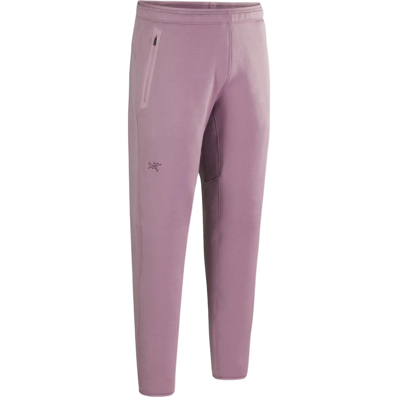 Arcteryx Logo Print Pants — фото 11