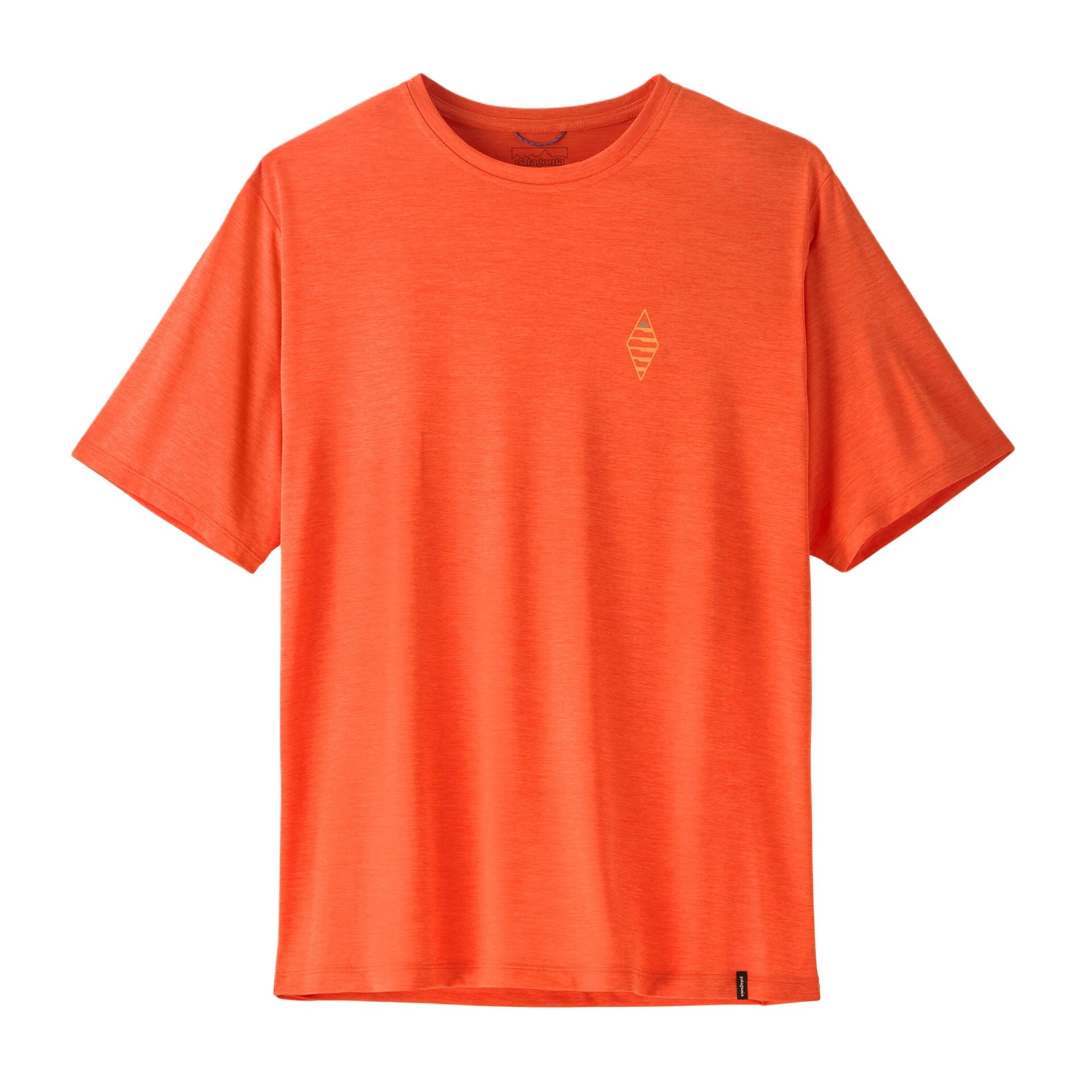 Patagonia Capilene Cool Daily C1 T