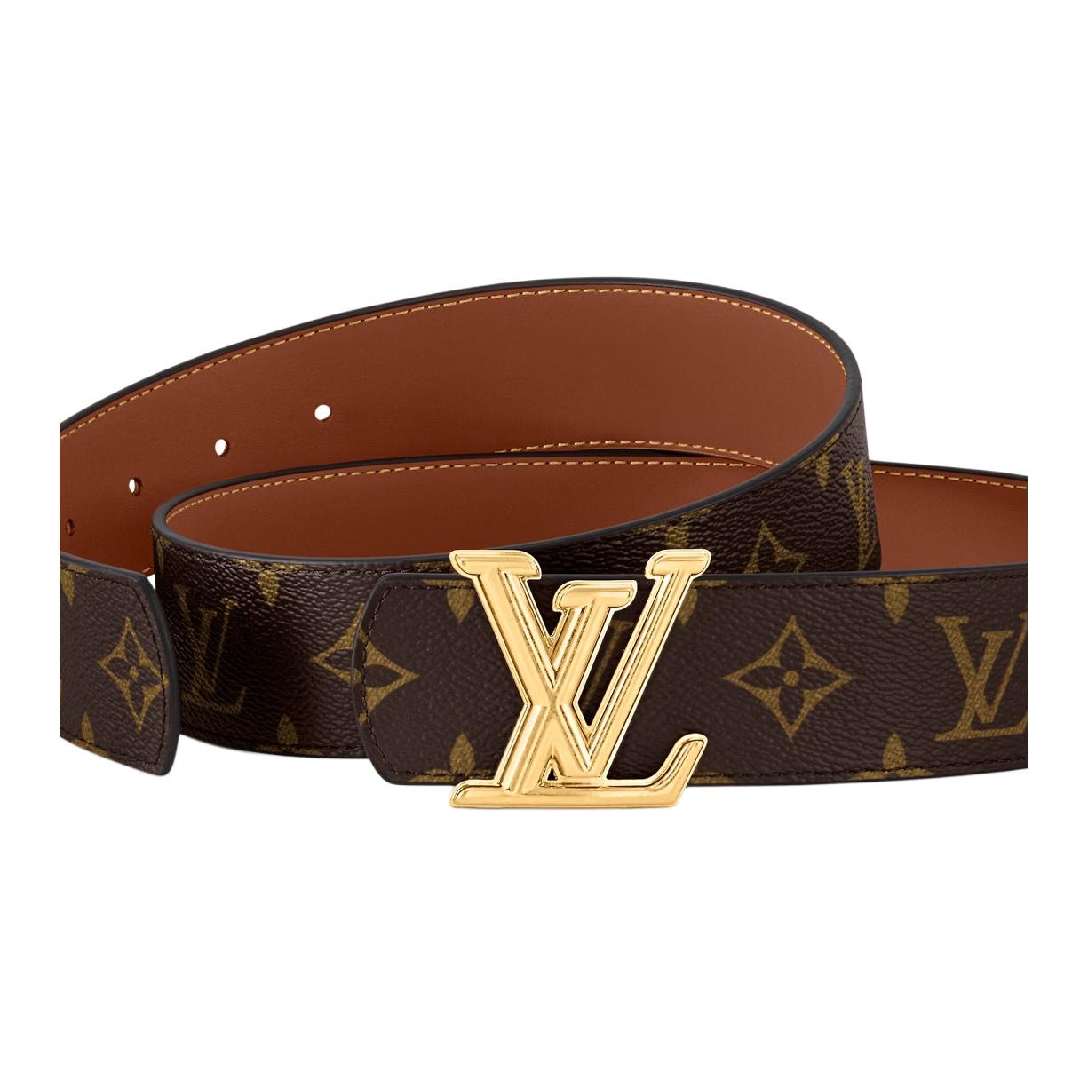 Louis Vuitton Аксессуары (Арт. M8845) — фото 1