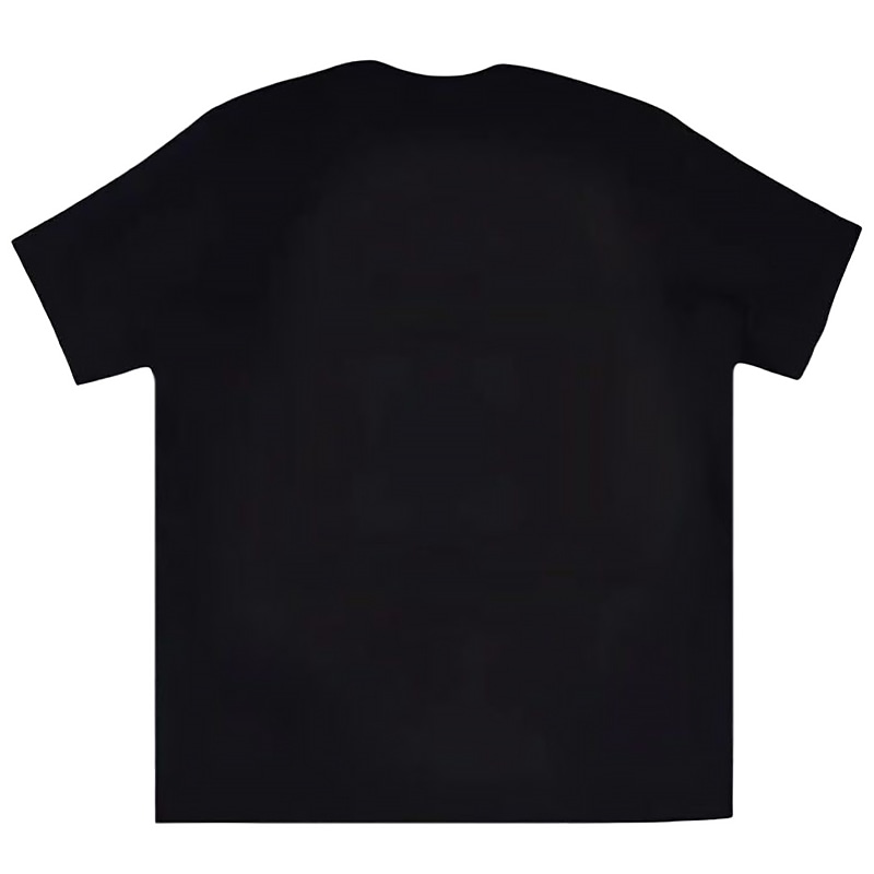 Arcteryx Ionia Merino Wool logo T — фото 1