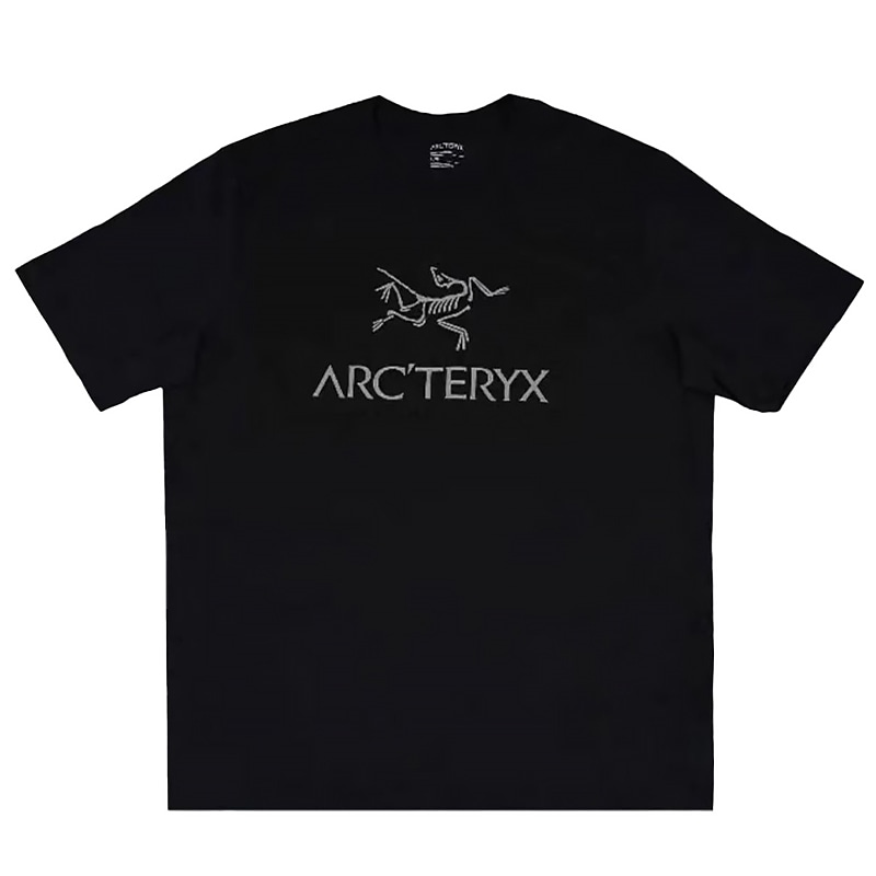 Arcteryx Ionia Merino Wool logo T — фото 2