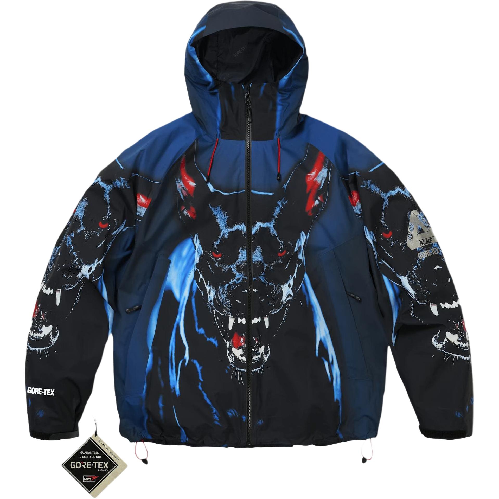 PALACE SS26 DROP4 GORE-TEX 2L P-TEK JACKET K-NEIN 2026