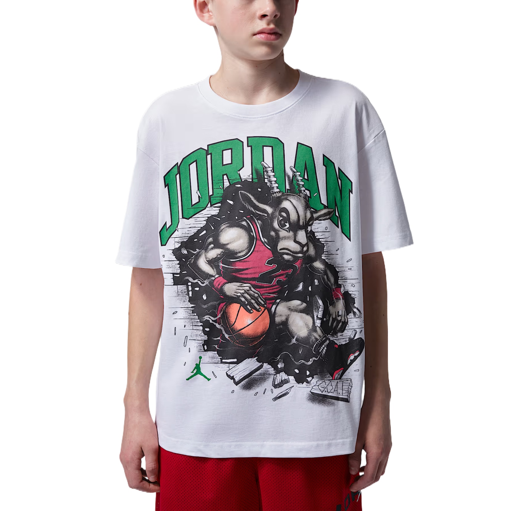 Футболка Jordan TThe Goat