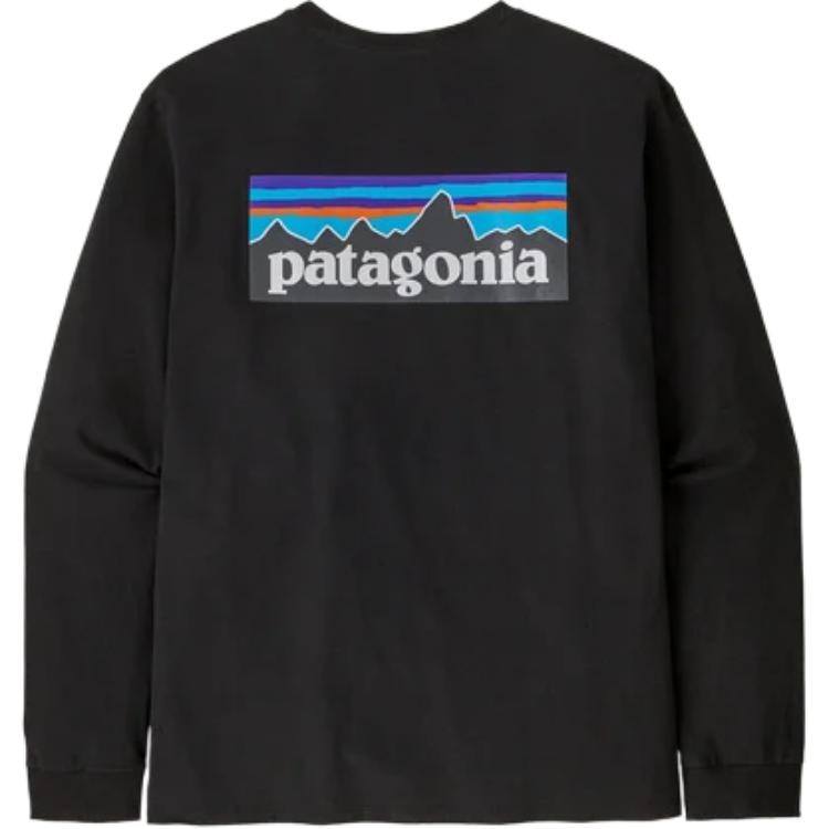 Футболка Patagonia P-6 Responsibili Tee
