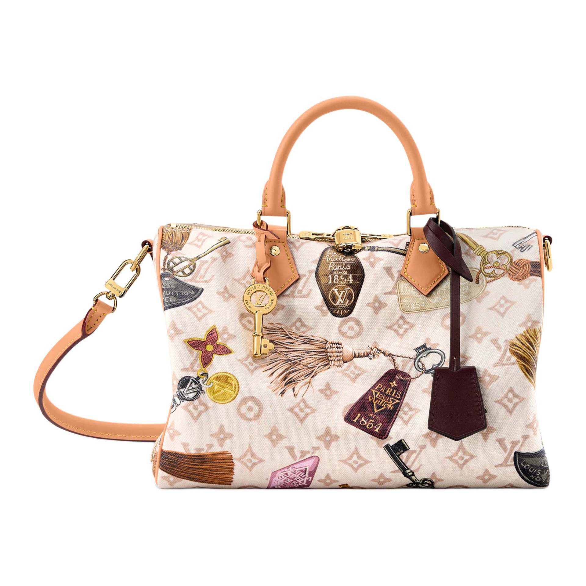 Сумки Louis Vuitton SPEEDY 30 SOFT Getaway