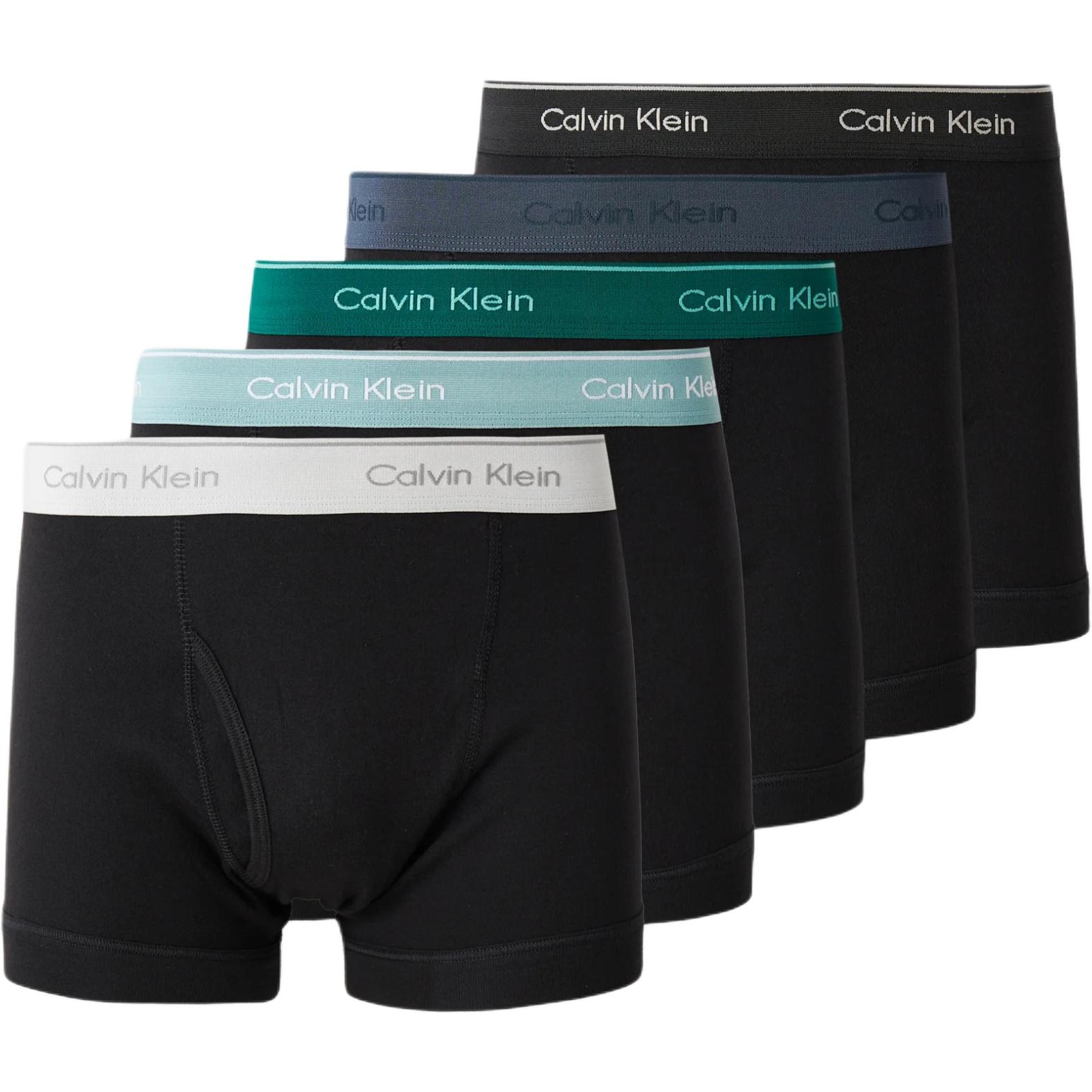 Calvin Klein Logo 5