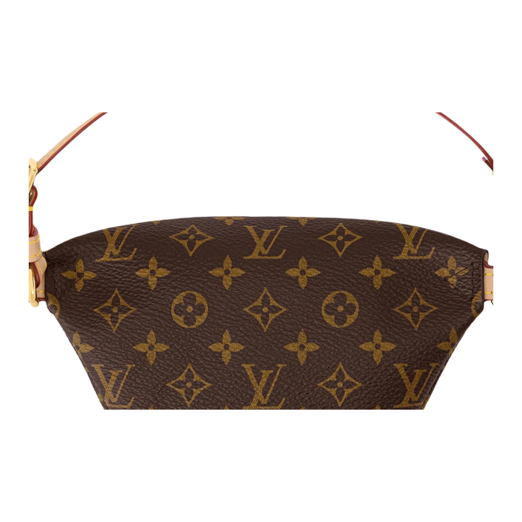 Louis Vuitton MICRO BUMBAG Monogram — фото 4