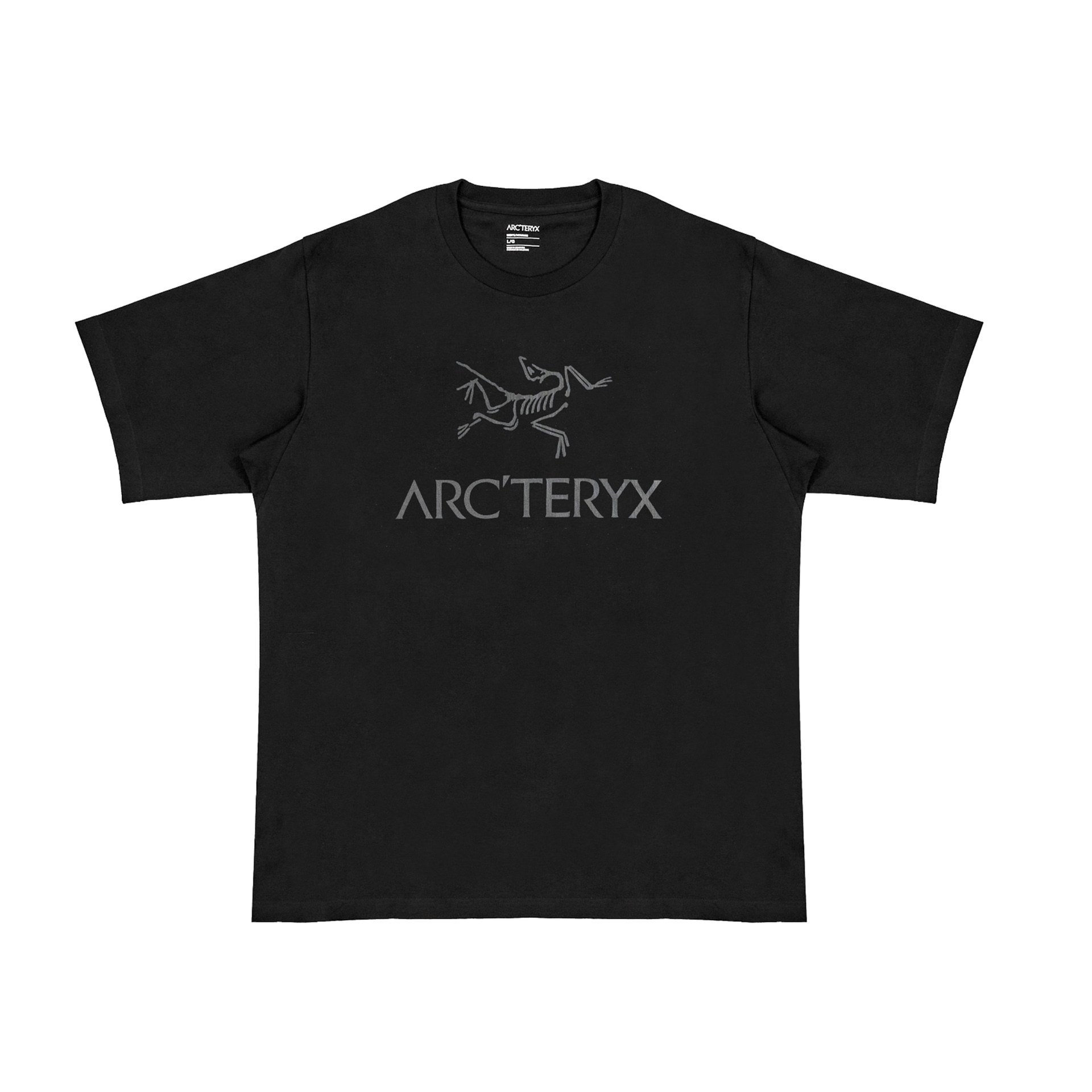 Arcteryx IONIA ARC'WORD Logo T — фото 4